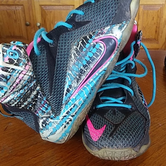 Lebron - Picture 2 of 3